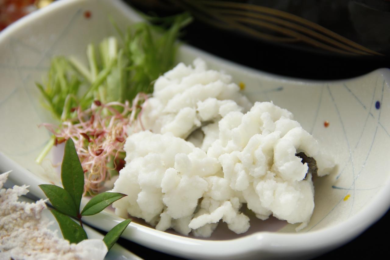 Ryokan Hinoshimasou Kami Amakusa Extérieur photo